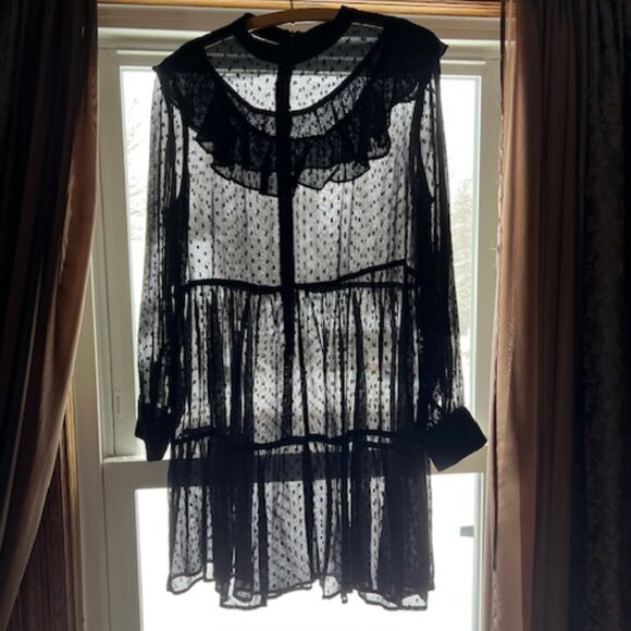 Zara Dresses & Skirts - Zara Black Baby Doll Sheer Mini Dress Ruffle Front & Long Sleeves